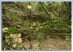 sant Feliu de Pallerols